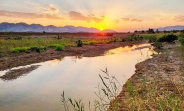 Wadi-Melaha-Oasis-Safar