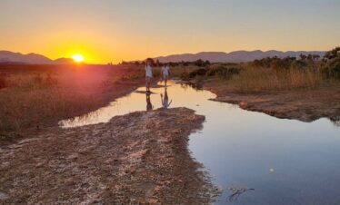 Wadi-Melaha-Oasis-Safar
