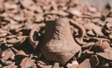 roman-history-safari