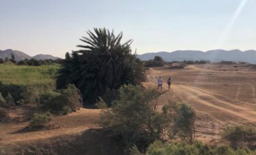 Wadi-Melaha-Oasis-Safar