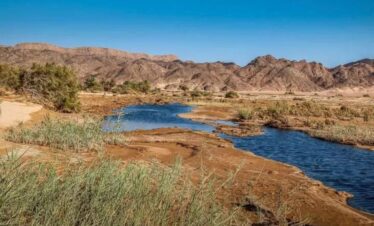 Wadi-Melaha-Oasis-Safar