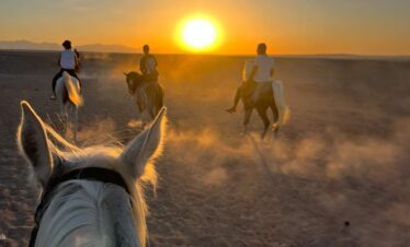 desert-horse-riding4