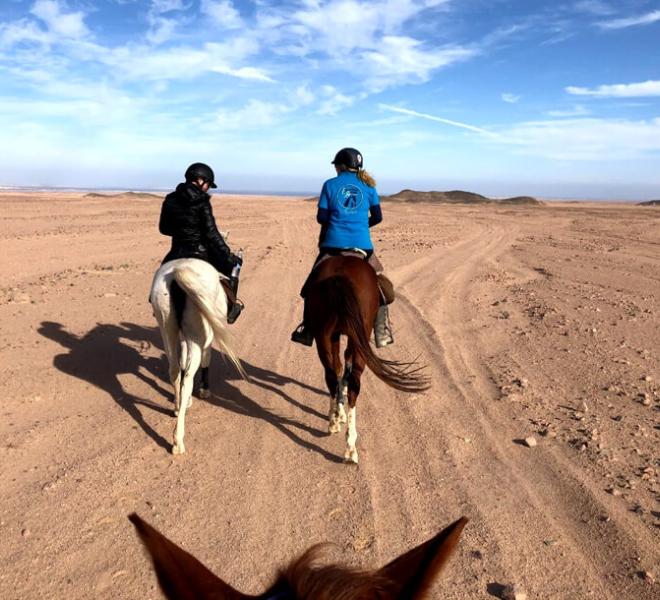 desert-horse-riding2
