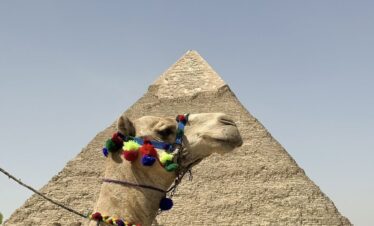 cario-giza