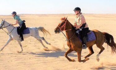 desert-horse-riding3
